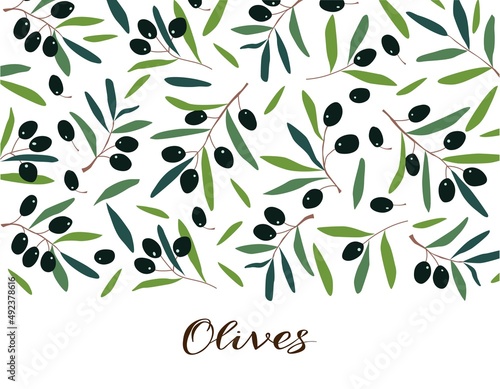 Frame in the form of a strip with olives. Vector template for logo, label, card, invitation, banner or poster for essential oil products or organic cosmetics.