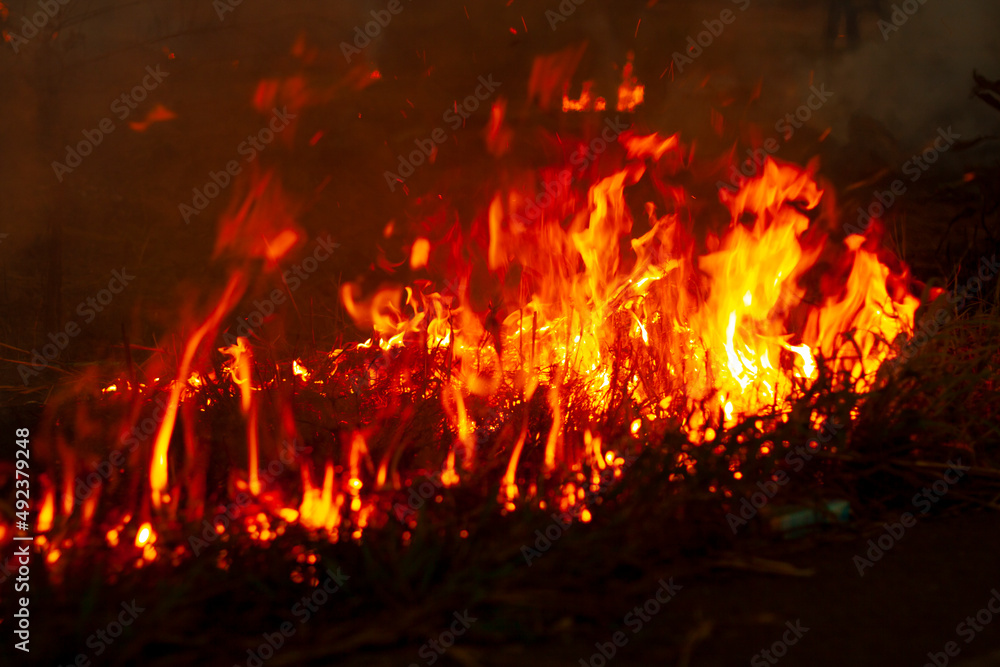 fire burning grass fire burning grass
