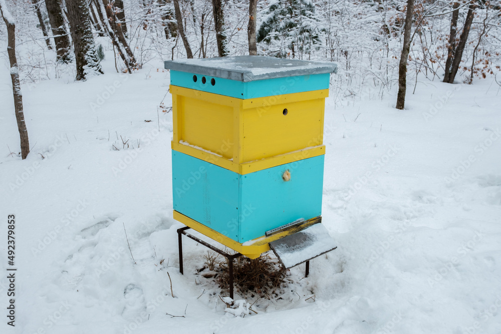 Naklejka premium Bee hives in the snow.