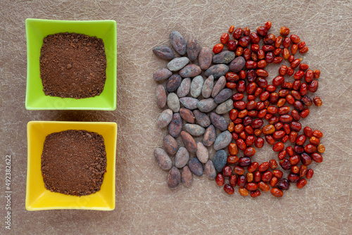 Spice blend made of raw cocoa and dried chili pepper. Spicy cacao condiment top view. photo