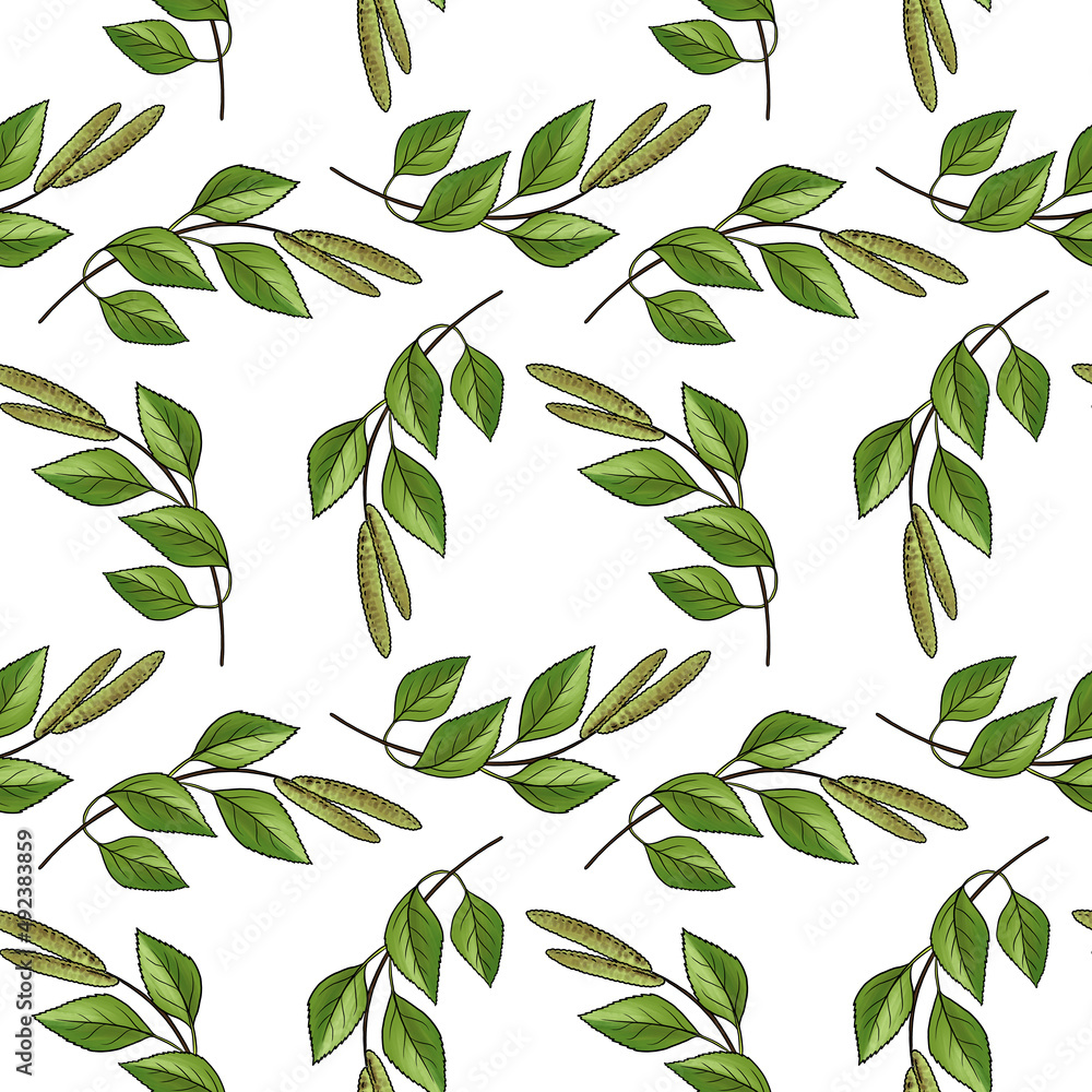 seamless pattern with drawing branch of birch tree, green leaves at white background, hand drawn illustration