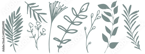 Vector plants and grasses. Minimalist style in green colors of hand drawn plants. With leaves and organic shapes. For your own design.