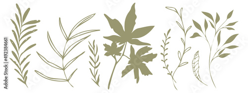 Vector plants and grasses. Minimalist style in green colors of hand drawn plants. With leaves and organic shapes. For your own design.
