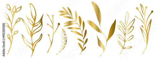 Vector plants and grasses in gold style with shiny effects. Minimalist style. Hand drawn plants. With leaves and organic shapes. For your own design.