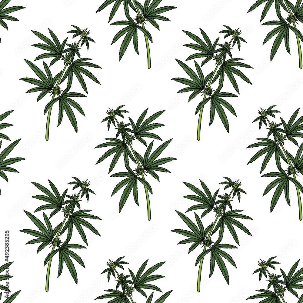 seamless pattern with drawing cannabis at white background, hand drawn illustration