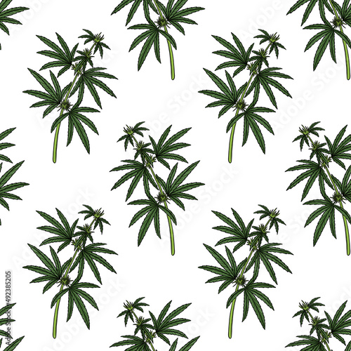 seamless pattern with drawing cannabis at white background  hand drawn illustration