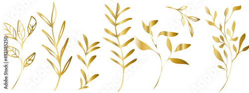 Vector plants and grasses in gold style with shiny effects. Minimalist style. Hand drawn plants. With leaves and organic shapes. For your own design.