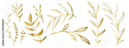 Vector plants and grasses in gold style with shiny effects. Minimalist style. Hand drawn plants. With leaves and organic shapes. For your own design.