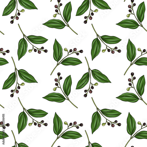 seamless pattern with branch of camphor tree, Cinnamomum camphora at white background, hand drawn illustration photo