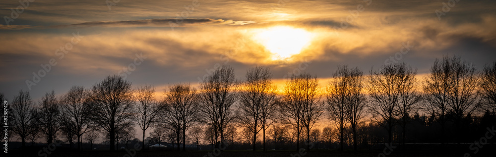 Dramatyczne niebo o zachodzie słońca nad drzewami na farmie