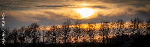 Dramatyczne niebo o zachodzie słońca nad drzewami na farmie