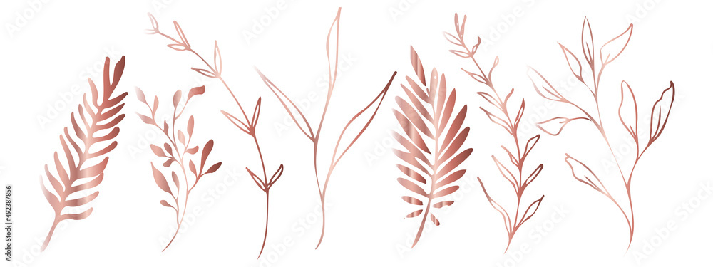 Vector plants and grasses in gold style with shiny effects. Minimalist style. Hand drawn plants. With leaves and organic shapes. For your own design. Vector plants and grasses in gold style with shiny effects. Minimalist style. Hand drawn plants. With leaves and organic shapes. For your own design.