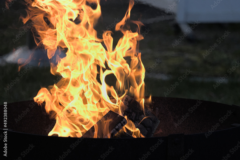 Obraz premium fire in the fireplace