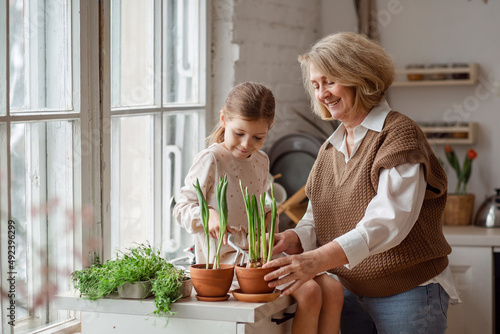 An elderly woman grandmother and a little girl granddaughter take care of and plant potted plants inside the house, do gardening in the spring for Earth Day