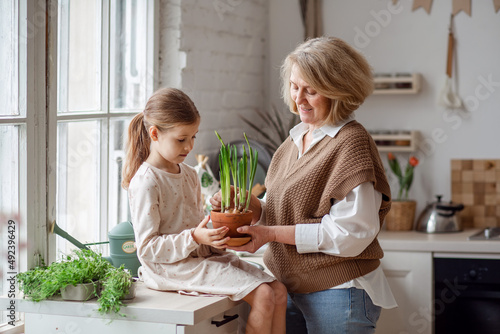 An elderly woman grandmother and a little girl granddaughter take care of and plant potted plants inside the house, do gardening in the spring for Earth Day