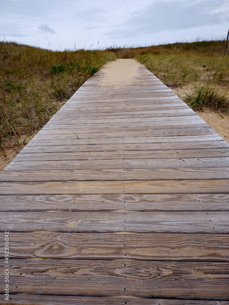 Wood deck path leading across the dunes on a beach of the outer Banks of North Carolina