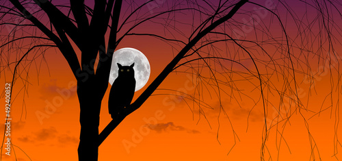 A great horned owl is seen silhouetted in a tree in front of a colorful sky just after sunset wth the moon rising in the background in a 3-d illustrationl photo