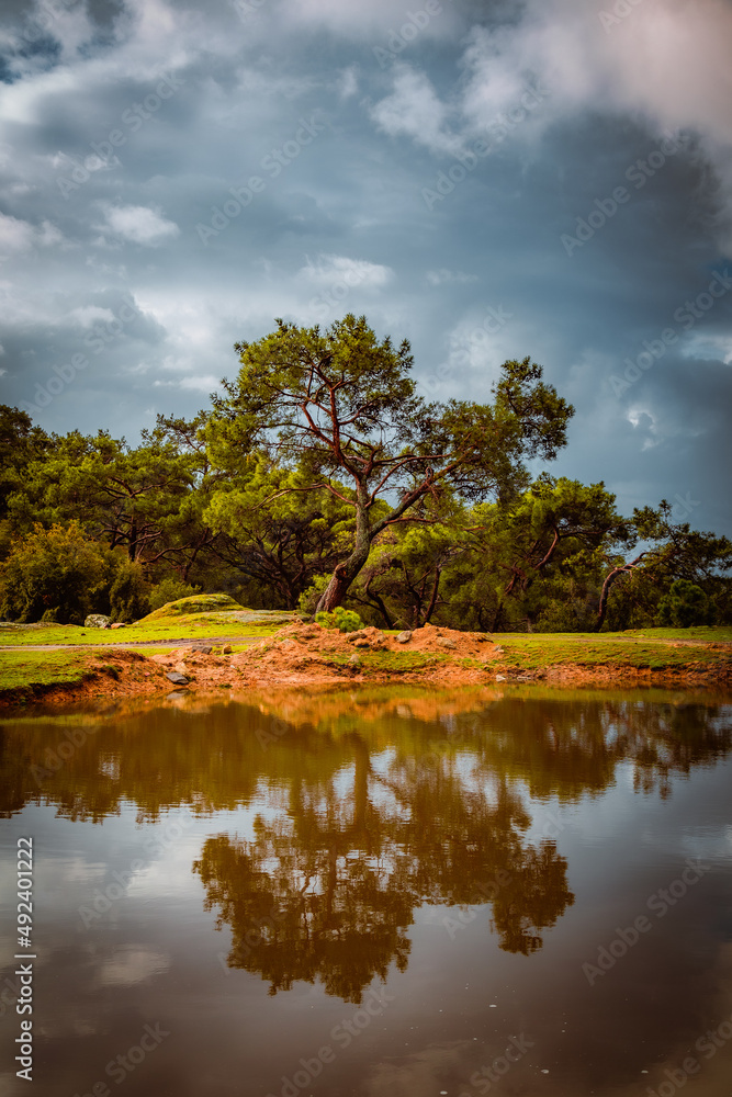 Obraz premium landscape with lake