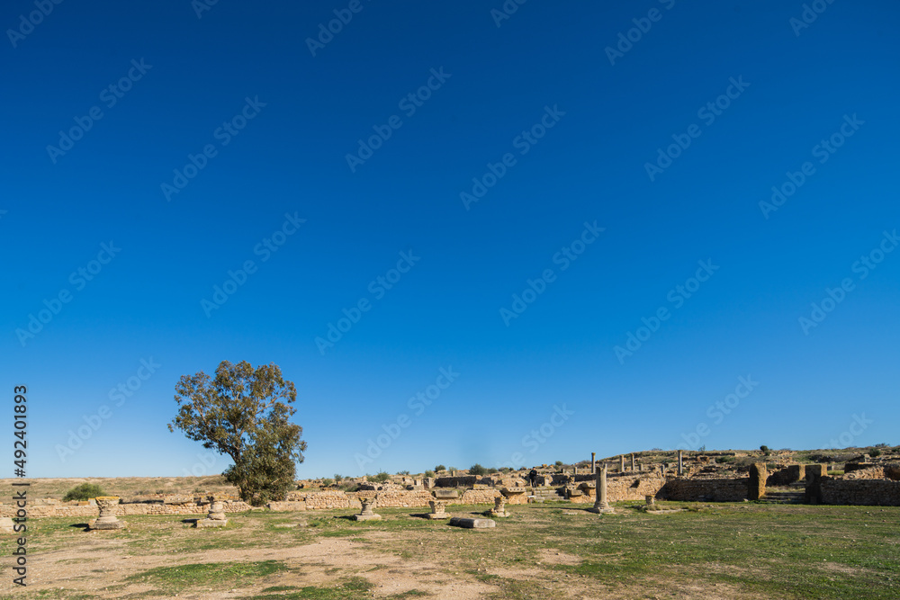 Thuburbo Majus large roman site in northern Tunisia Thuburbo Majus large roman site in northern Tunisia