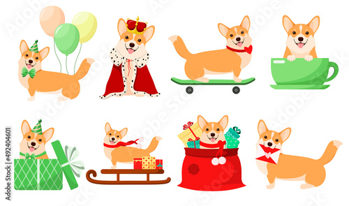 A set of funny dogs on a white background. Corgi. Cartoon design.
