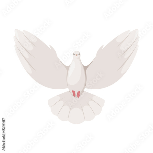 Pigeon on a white background. Cartoon design.
