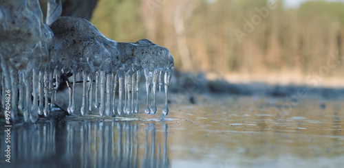Icicles on the shore of the lake