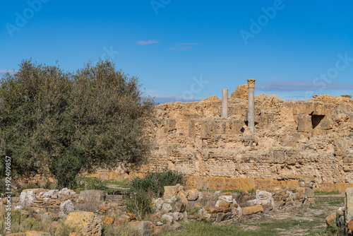 Thuburbo Majus large roman site in northern Tunisia photo