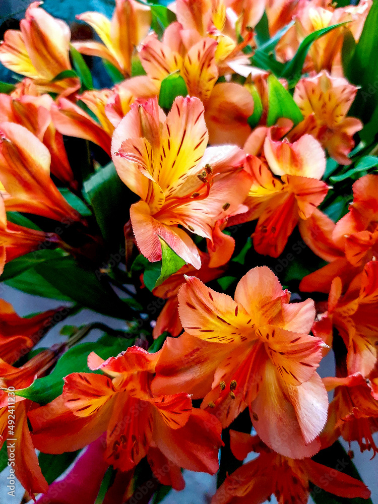 bouquet of orange flowers