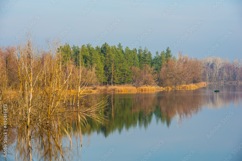 Forest and river in autumn day, panoramic landscape.