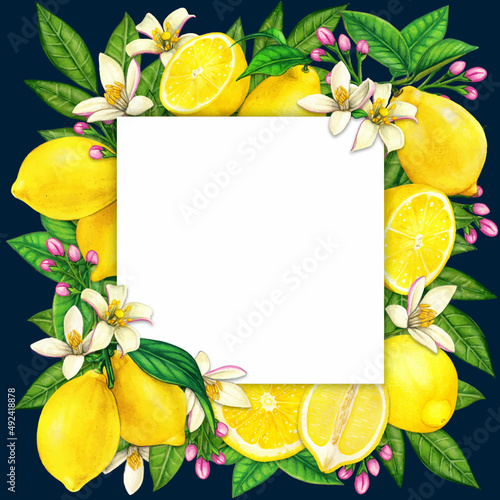 Watercolor mediterranean lemon frame