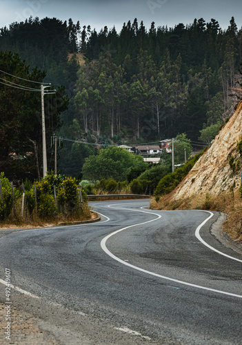 Road to buchupureo , near los surfistas beach in Buchupureo, Cobquecura, Chile photo