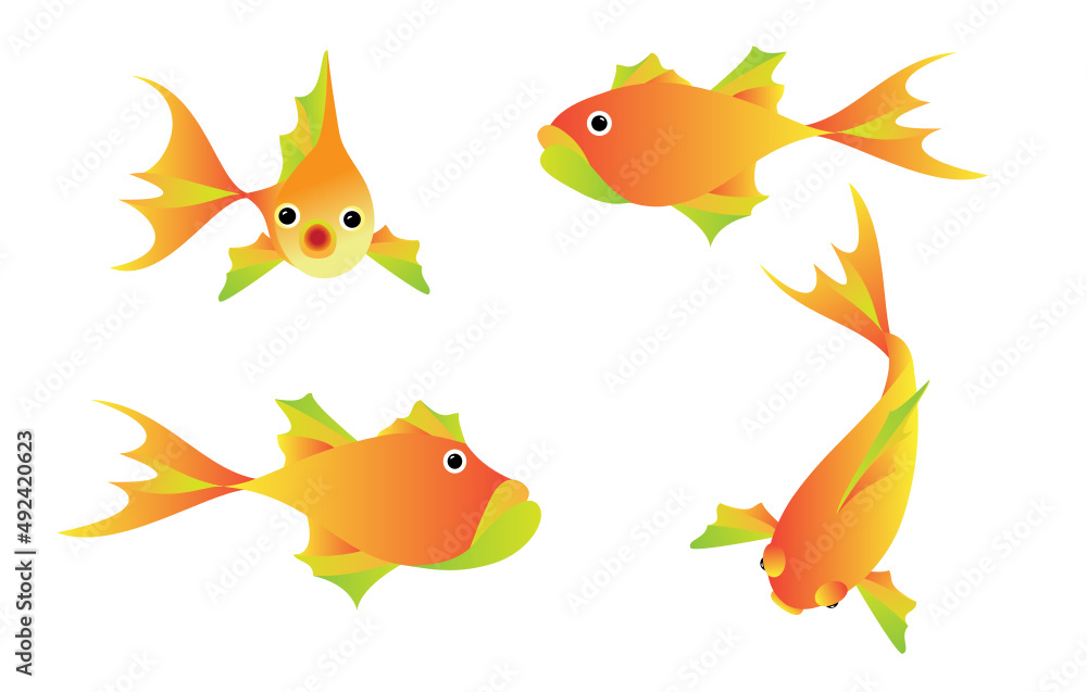 Fish / goldfish swimming - above, side and front views Fish / goldfish swimming - above, side and front views
