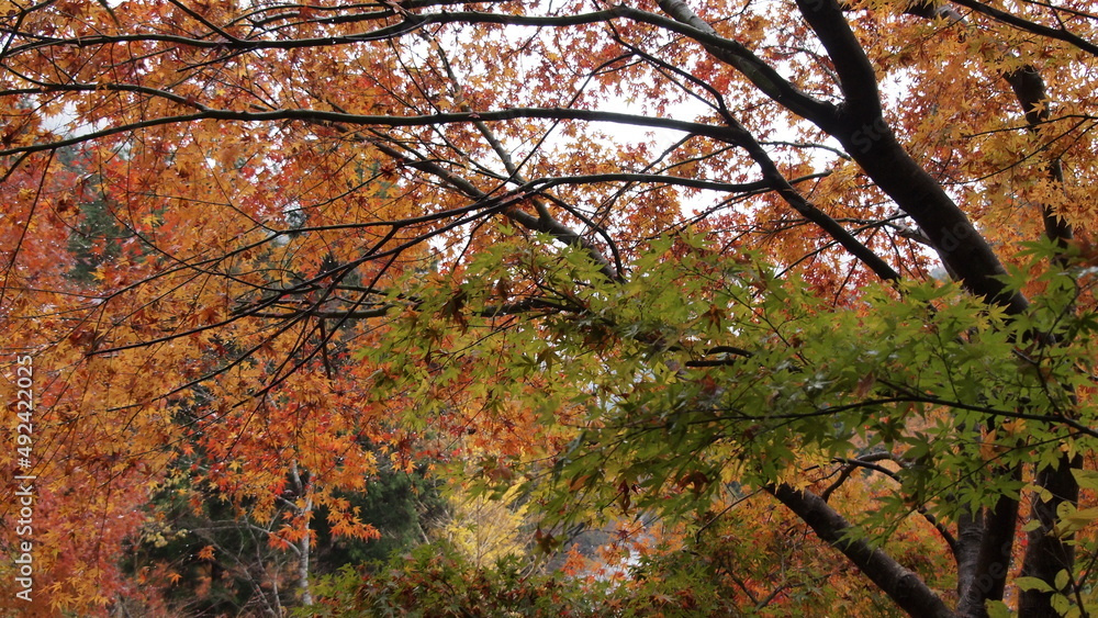 Akikawa Valley