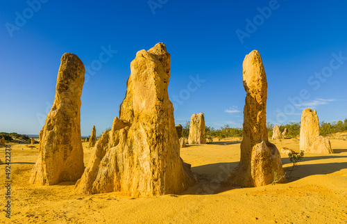Landscape with jagged limestone pillars in warm early morning light in the Pinnacles Desert of Western Australia 