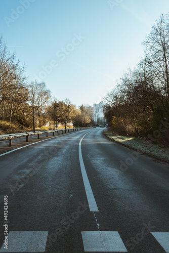 Une route entourée d'arbres