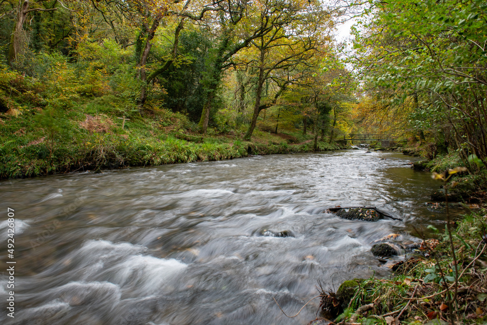 Obraz premium Long exposure of the East Lyn River flowing through the woods at Watersmeet in Exmoor National Park in autumn