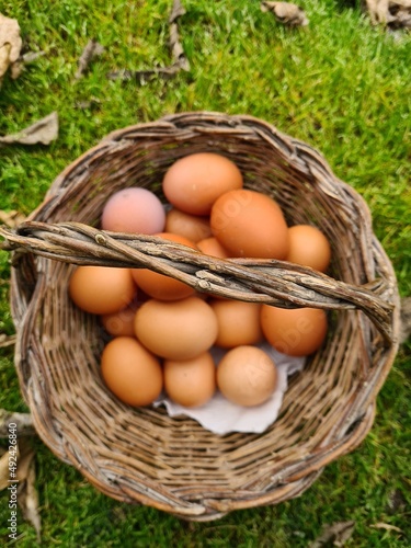 Obraz na płótnie eggs in a basket w salonie