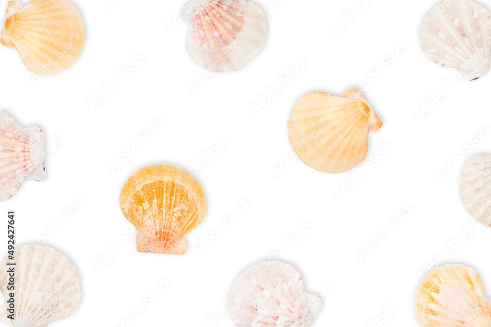 Sea pattern, top view, flat lay. Summer concept. Yellow sea shells pattern isolated on white background. High-quality photo Sea pattern, top view, flat lay. Summer concept. Yellow sea shells pattern isolated on white background. High-quality photo