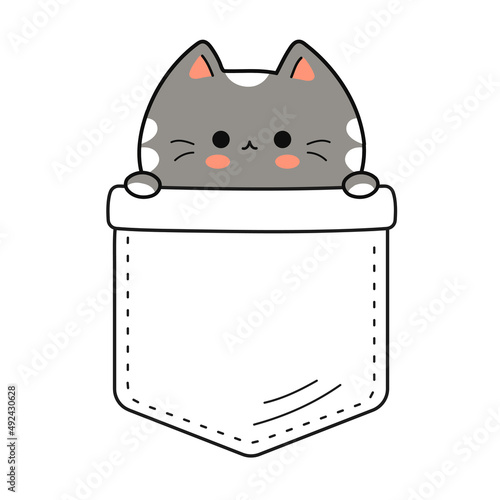 Cute funny cat in pocket t-shirt print.Vector cartoon doodle line character logo illustration design.Isolated on white background. Funny vintage cat print for pocket t-shirt,clothing concept