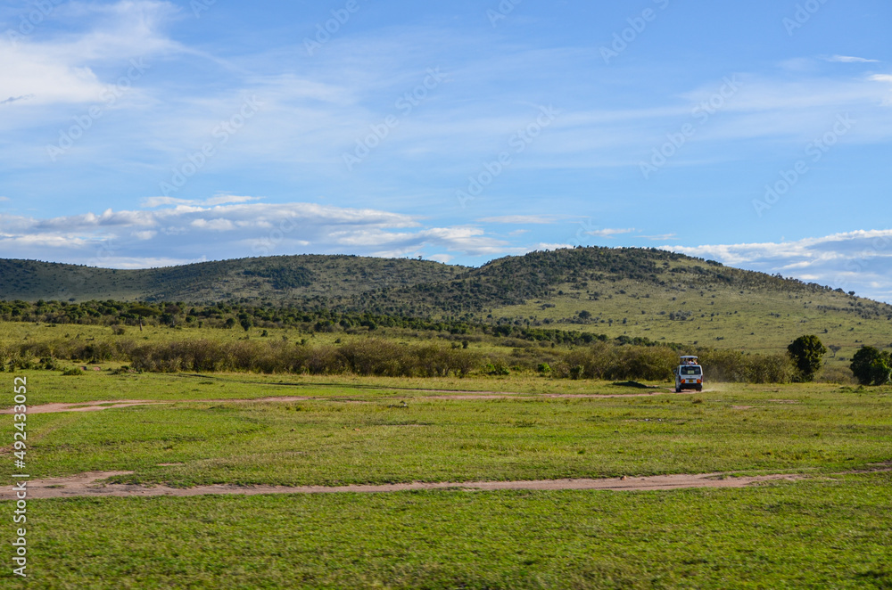 Natural landscape of kenya, Masai Mara National Park, Kenya, Africa