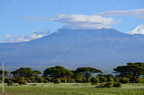 View of the Kilimanjaro and elephants family in Amboseli National Park, Kenya, Africa