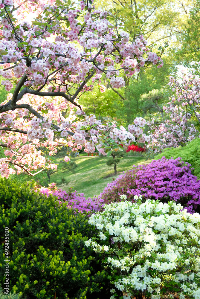 Obraz premium Beautiful garden scene with flowers and trees in bloom. Can be a portrait background or standalone image.