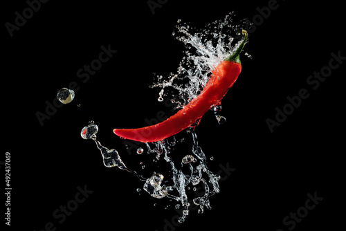 Canvas Print Red pepper with water splash over black background