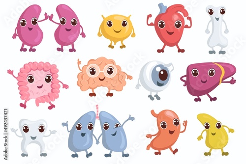 Cute internal organs characters. Funny human brain, liver, lung and stomach. Healthy body system. Heart and bladder with happy faces. Educational medical icons. Vector anatomy mascots set