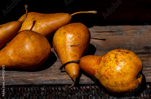 whole ripe golden yellow Bosc pears in vintage wooden crate photo