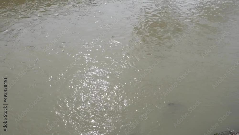 a river with murky waters, a river flowing through a settlement, a river with murky waters, a river flowing through a settlement,