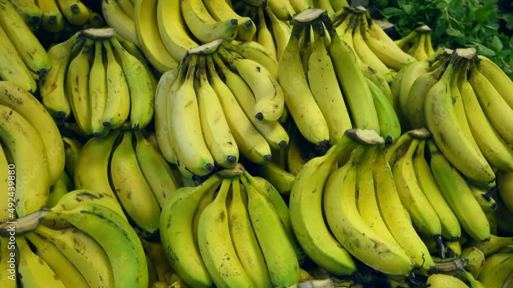 bananas in the greengrocer, a large amount of bananas on sale in the sales aisle, bananas in the greengrocer, a large amount of bananas on sale in the sales aisle,
