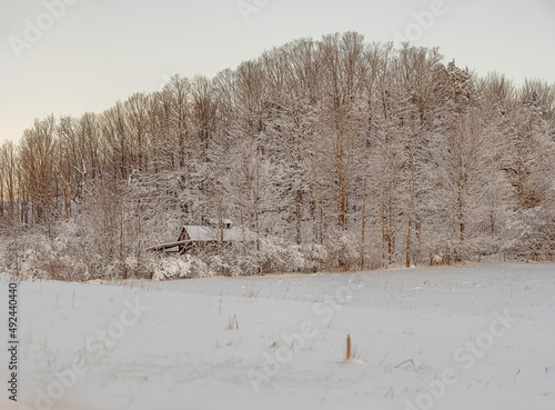 Antique Sugarhouse photo