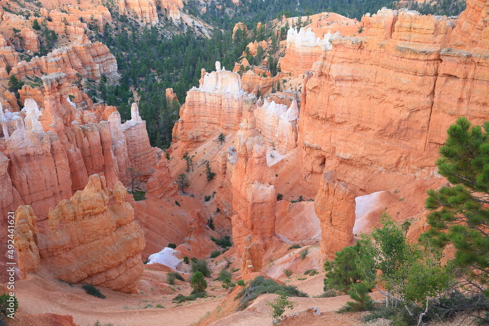 Thors Hammer at Bryce Canyon in Summer, Utah-USA Thors Hammer at Bryce Canyon in Summer, Utah-USA