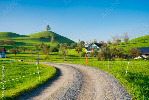 The Swiss countryside. Tree on top of the hill. Fields and pastures. Agricult...